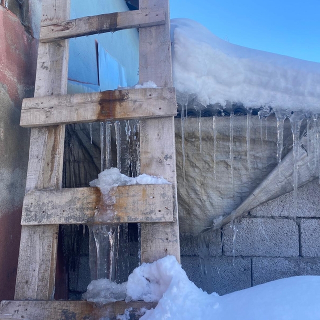 Patnos'ta kar yağışının ardından don etkili oldu