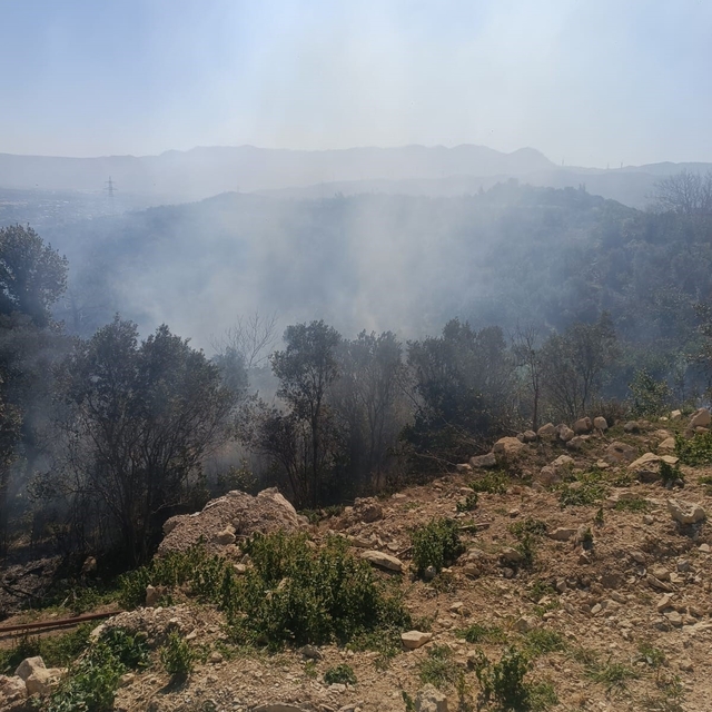Samandağ'da ormanlık alanda çıkan yangın kısa sürede kontrol altına alındı