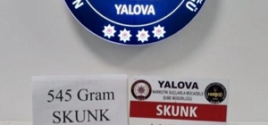 Yalova'da uyuşturucu operasyonları: 1 tutuklama