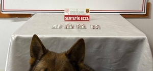 Gümüşhane’de uyuşturucu operasyonlarında iki şüpheli yakalandı