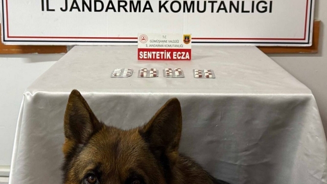 Gümüşhane'de uyuşturucu operasyonlarında iki şüpheli yakalandı
