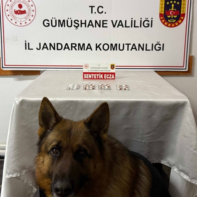Gümüşhane'de uyuşturucu operasyonlarında iki şüpheli yakalandı