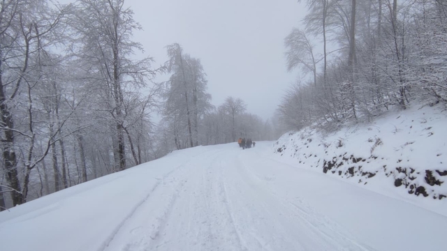 Zirvede kar eğlencesi: Bidonlarla kaydılar, traktörle kızak çektirdiler