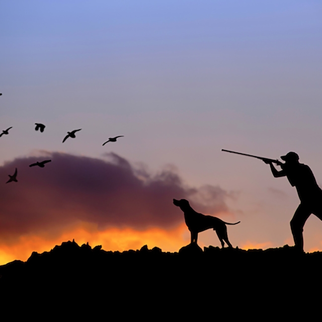 Kara avcılığı yasağı 1 Mart'ta başlıyor