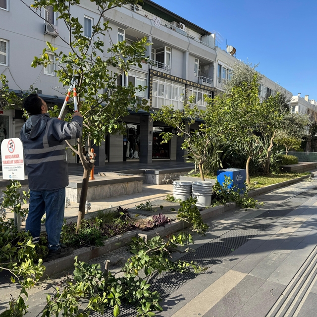 Büyükşehir'den Kemer'de peyzaj düzenlenesi