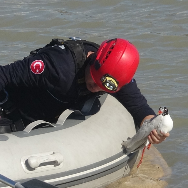 Antalya itfaiyesinden film gibi martı kurtarma operasyonu
Misinalara dolana...