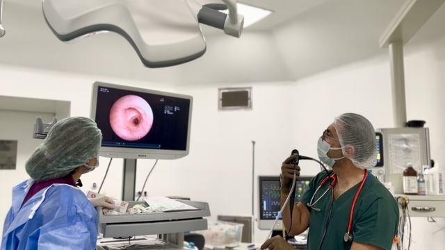 Manisa Şehir Hastanesi'nde bir ilk daha
Manisa Şehir Hastanesinde çocuklarda Fleksible Bronkoskopi uygulanmaya başlandı