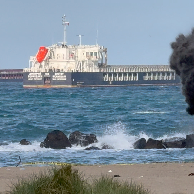 Sakarya'da sahilde parçalanmış insansız hava aracı bulundu (2)