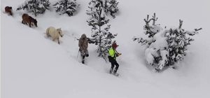 Karda mahsur kalan hayvanları köyün gençleri kurtardı