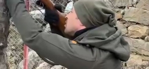 Ağaca takılan dronu tüfekle dala ateş ederek kurtardılar