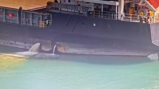 Mersin'de denizi kirleten gemiye 13 milyon 187 bin 913 TL ceza