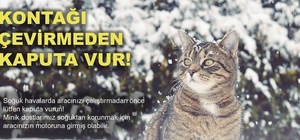 Soğuktan korunmak için girdiği araçta sıkışan kedi kurtarıldı