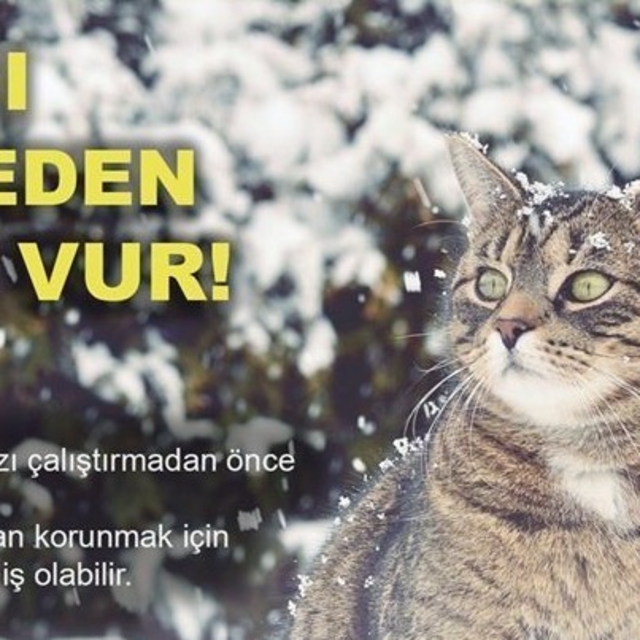 Soğuktan korunmak için girdiği araçta sıkışan kedi kurtarıldı