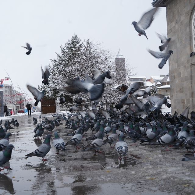Meteorolojiden çığ, don ve buzlanma uyarısı