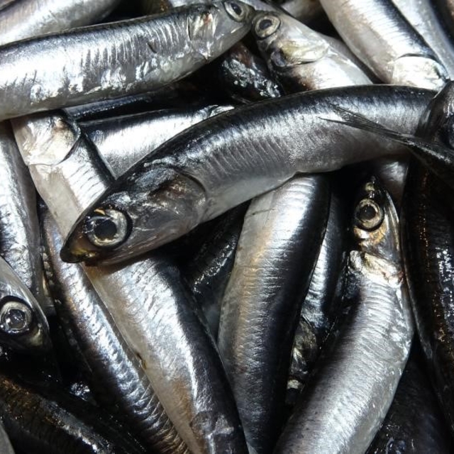 Savaş halindeki ülke ihracatta ilk sırayı aldı
Türkiye'nin hamsi ihracatınd...