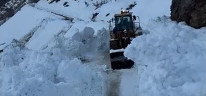 Bitlis'te köy yoluna çığ düştü