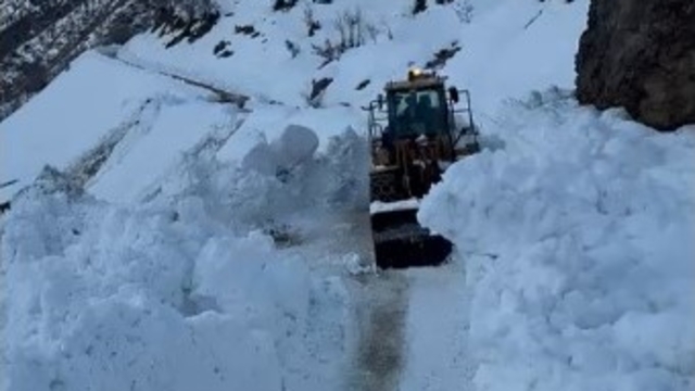 Bitlis'te köy yoluna çığ düştü