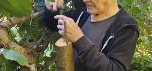 Bilecik huzurevinde kalan yaşlılar bahçeyi güzelleştiriyor