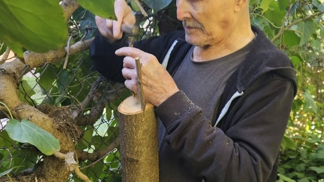 Bilecik huzurevinde kalan yaşlılar bahçeyi güzelleştiriyor