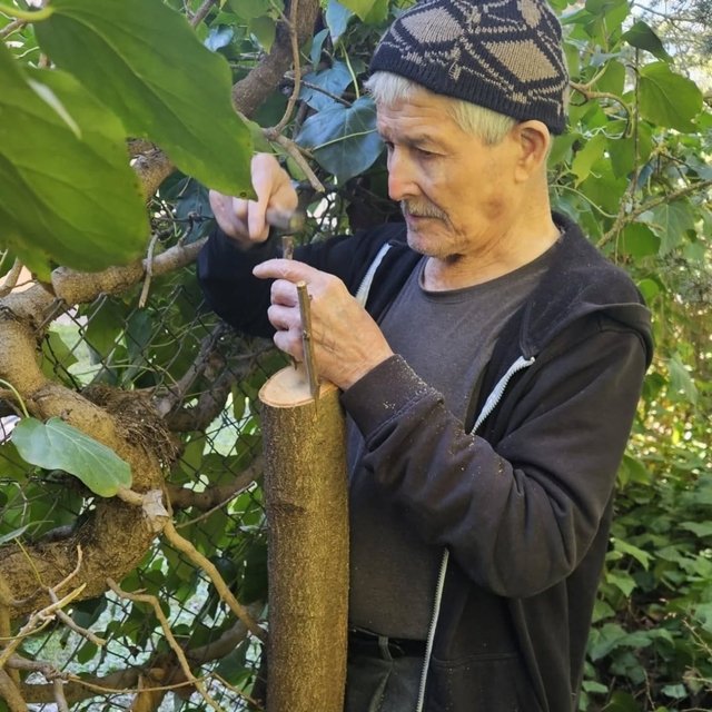 Bilecik huzurevinde kalan yaşlılar bahçeyi güzelleştiriyor