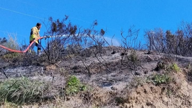 Defne'de çıkan bahçe yangınından alevler yükseldi