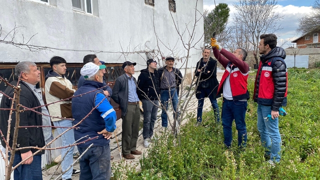 Tavşanlı'da meyve üreticilerine budama eğitimi