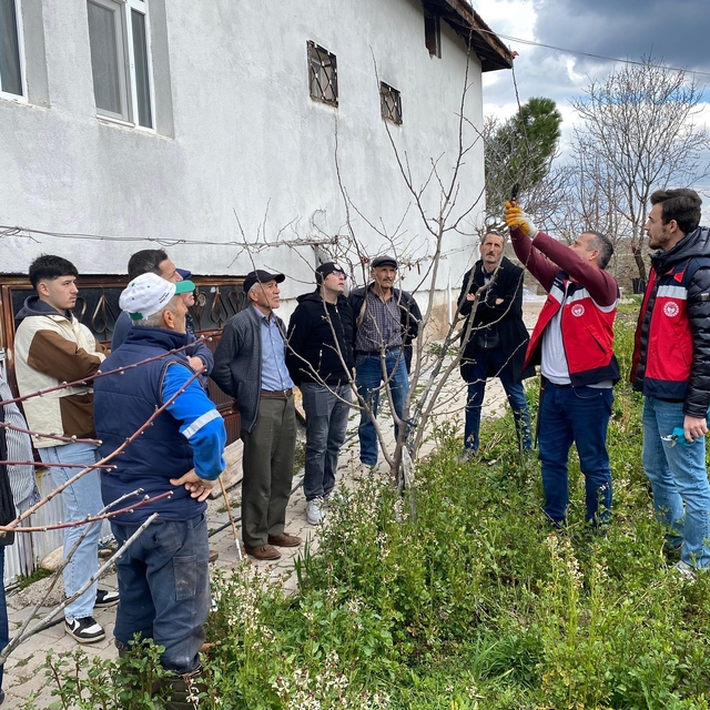 Tavşanlı'da meyve üreticilerine budama eğitimi