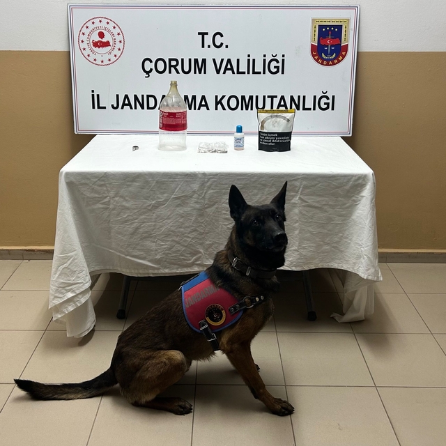 Alaca'da uyuşturucu operasyonunda 1 kişi yakalandı