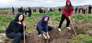 Biga'da 8 Mart Dünya Kadınlar Günü dolayısıyla hatıra ormanı oluşturuldu