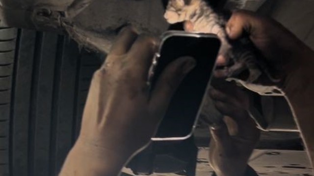 Araç içerisinde sıkışan yavru kediyi tamirhanede çırak sahiplendi
Gözleri kapalı halde günlerce yaşam mücadelesi veren kedinin ismi 'Şans' konuldu
Tamirhane sahibi: "Çok üşümüş, karnı acıkmış, belli ki uzun süredir oradaymış"
Çırak: "Ona sıcacık peteğin yanında bir kutu yaptım"