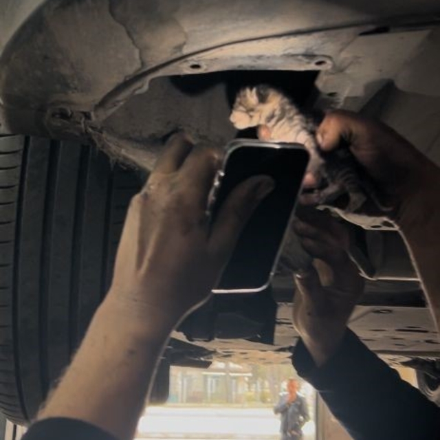 Araç içerisinde sıkışan yavru kediyi tamirhanede çırak sahiplendi
Gözleri k...