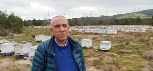 Lapseki Arıcılar Birliği Başkanı Gün'den meyve üreticilerine "arıları koruy...
