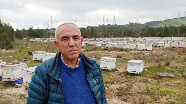 Lapseki Arıcılar Birliği Başkanı Gün'den meyve üreticilerine "arıları koruyun" çağrısı