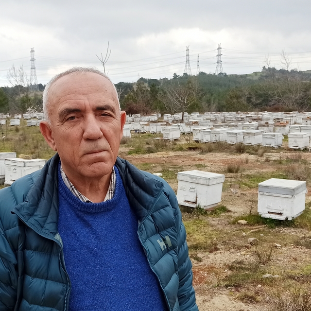 Lapseki Arıcılar Birliği Başkanı Gün'den meyve üreticilerine "arıları koruy...