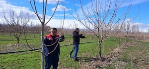 Iğdır'da çiftçilere uygulamalı meyve ağacı budama eğitimi
