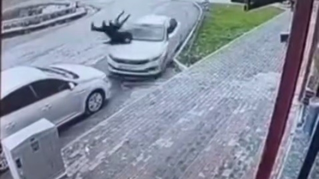 Şırnak'ta otomobil yayalara çarptı: 2 yaralı