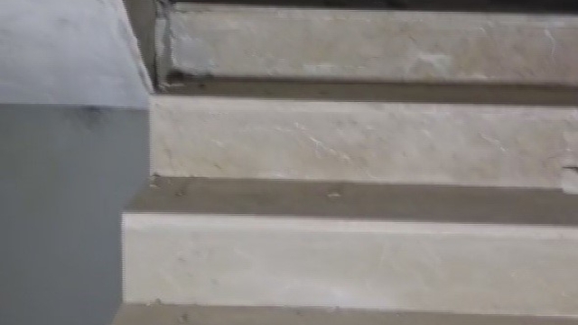 Yıkılacak binadaki yavru köpekleri kurtaran hayvansever yürekleri ısıttı