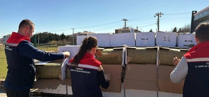 Tekirdağ'da baklavada kullanılacak 2 ton aflatoksinli fıstık ele geçirildi