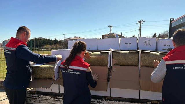Tekirdağ'da baklavada kullanılacak 2 ton aflatoksinli fıstık ele geçirildi