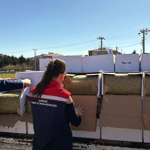 Tekirdağ'da baklavada kullanılacak 2 ton aflatoksinli fıstık ele geçirildi