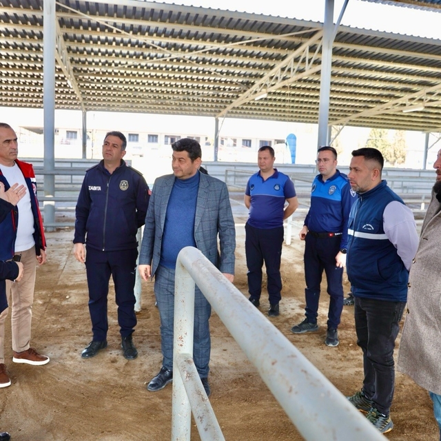 Şap hastalığı nedeniyle kapalı olan hayvan pazarı yeniden açılıyor