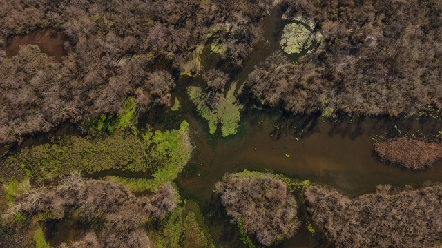 Türkiye'nin 3'üncü büyük longozu yeniden su ile doldu