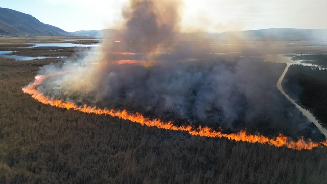 Karamık Gölü'ndeki sazlık alanlarda yangın