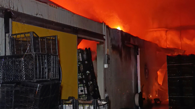 Antalya'da muz paketleme ve sarartma tesisinde yangın