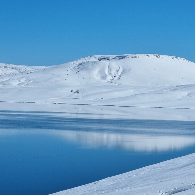 Ağrı'da dondurucu soğuklar etkisini sürdürüyor