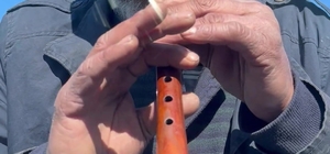 Zurnayı dayadı, para istedi
Trafik ışıklarında zurnalı çiftetelli eğlencesi