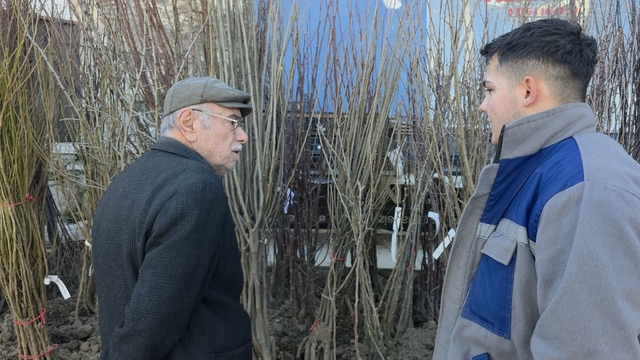 Kütahya'da fidan satışlarına ilgi
Üçüncü kuşak fidan satıcılığı yapan Murat Sağlık:
"İnsanlar hem kendi meyvesini yetiştirmek hem de gelecek nesillere bir hatıra bırakmak için fidan dikmeli"