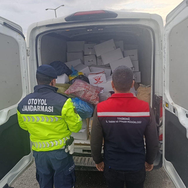 Tekirdağ'da 2 ton sağlıksız Antep fıstığı imha edildi