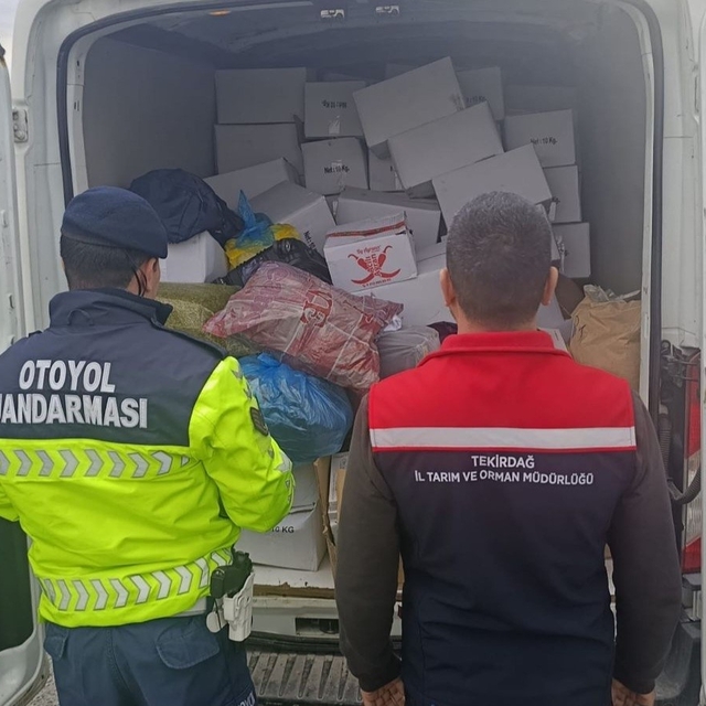 Tekirdağ'da 2 ton baklavaya hazır antepfıstığı imha edildi