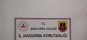 Şanlıurfa'da 3 adet ruhsatsız silah ele geçirildi: 3 gözaltı